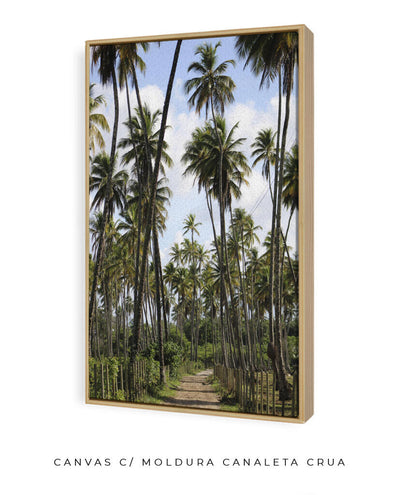 Tropicais por Vitoria Brecci