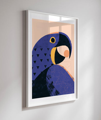 Arara Azul