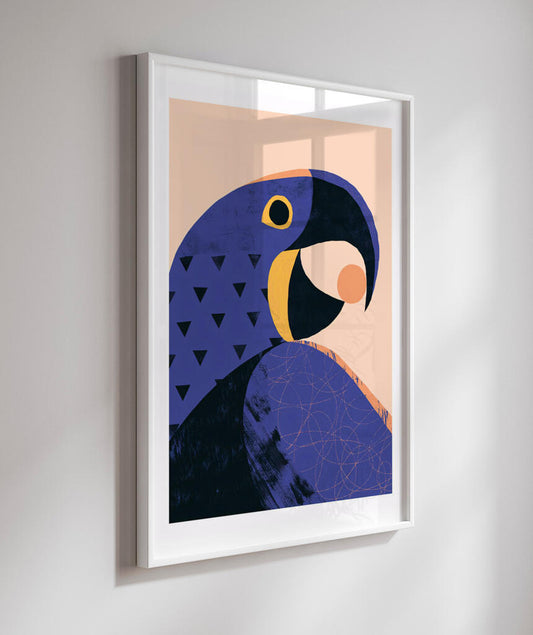 Arara Azul