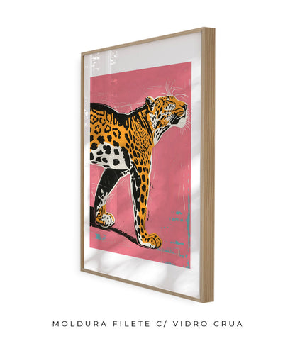 Felino II
