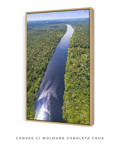 Rio Amazonas