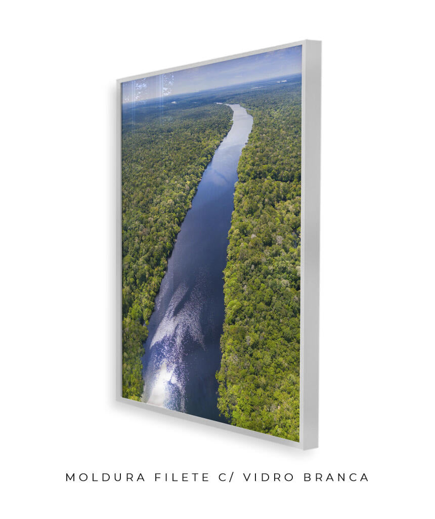 Rio Amazonas