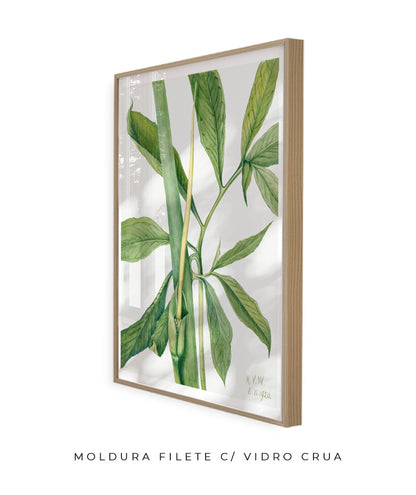 Natureza Viva