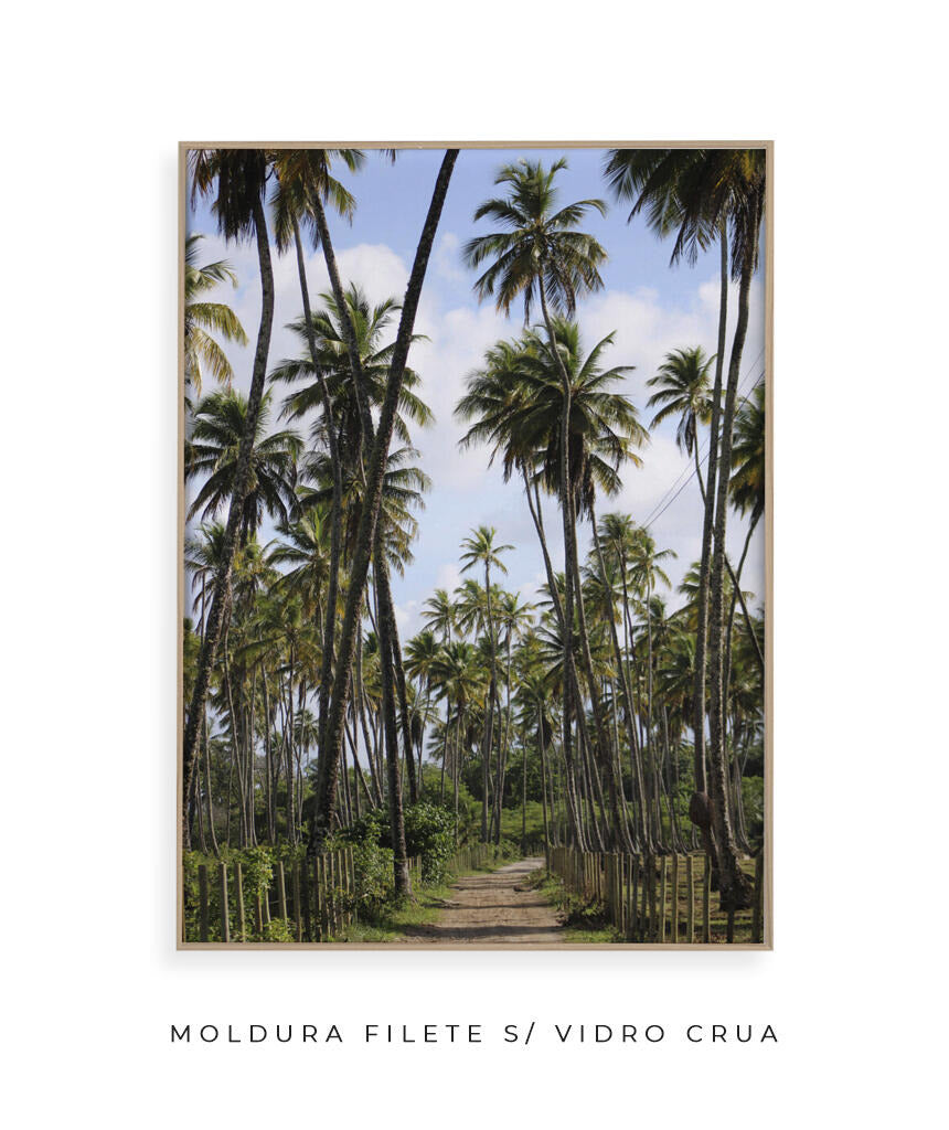 Tropicais por Vitoria Brecci