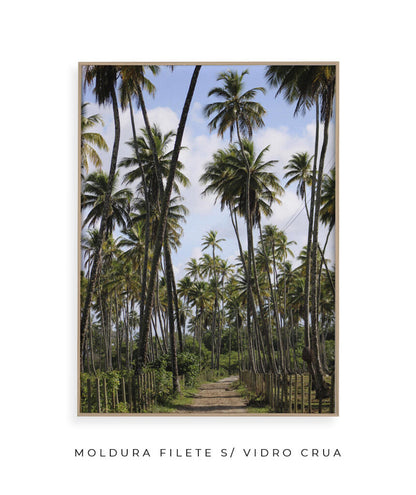 Tropicais por Vitoria Brecci