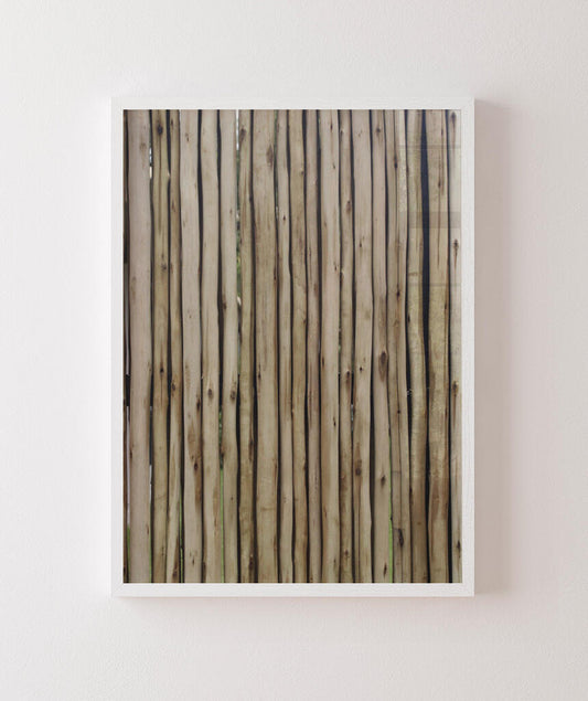 Madeira por Vitoria Brecci