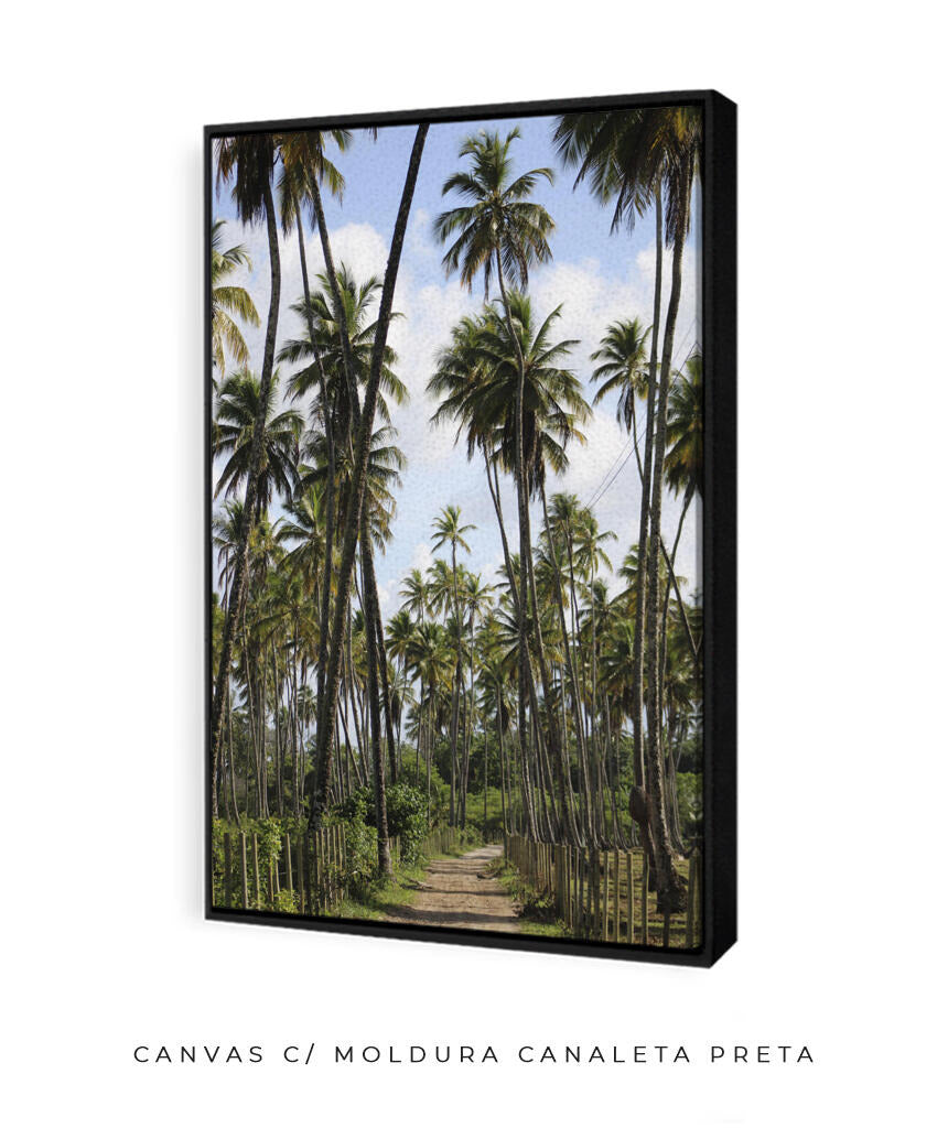 Tropicais por Vitoria Brecci