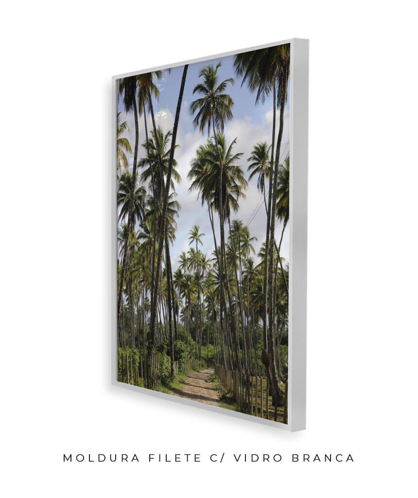 Tropicais por Vitoria Brecci