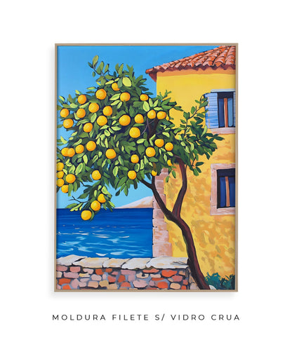 Meu Pé de Laranja