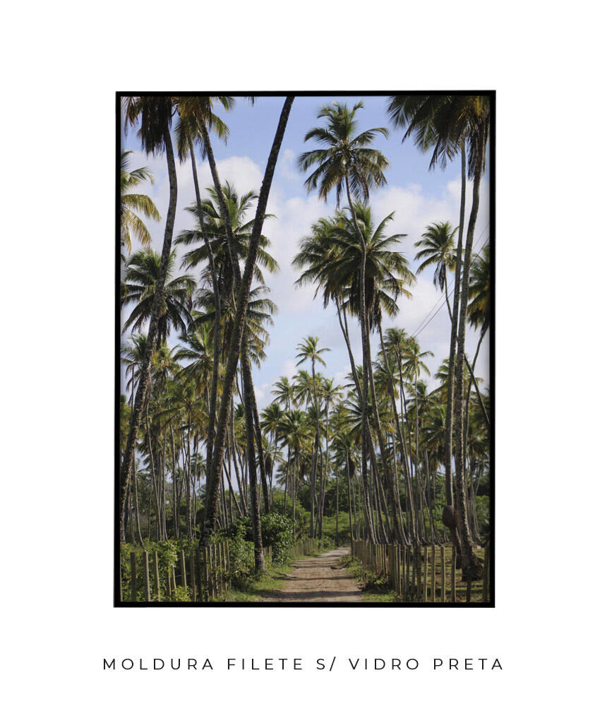 Tropicais por Vitoria Brecci