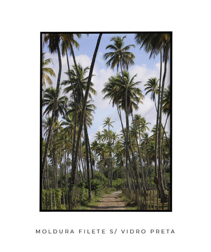 Tropicais por Vitoria Brecci