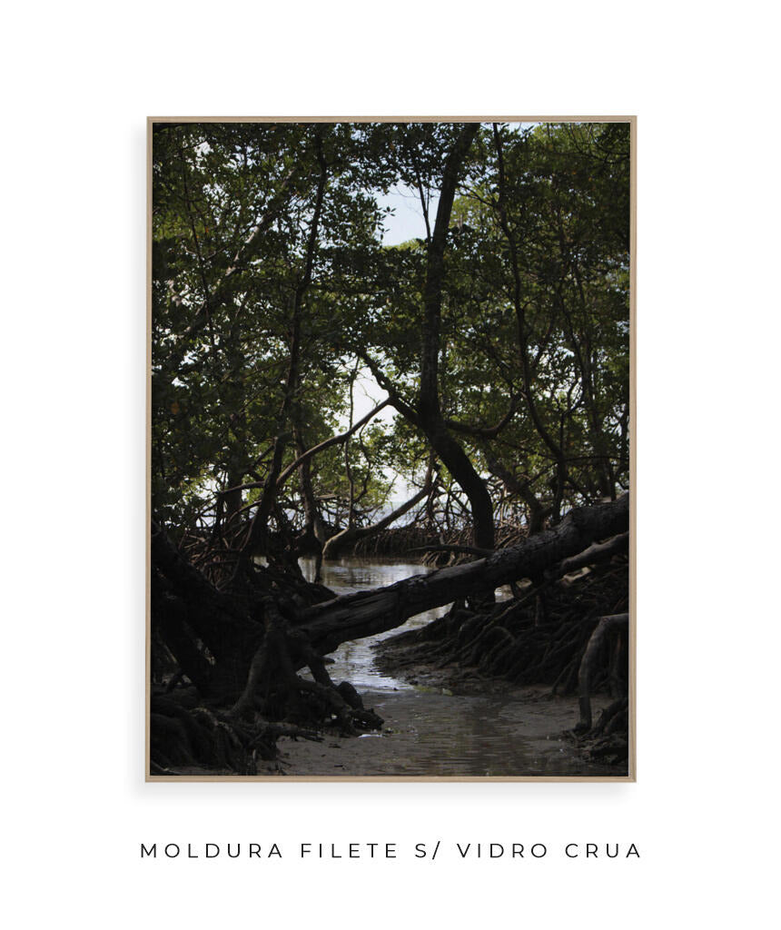 Córrego por Vitoria Brecci