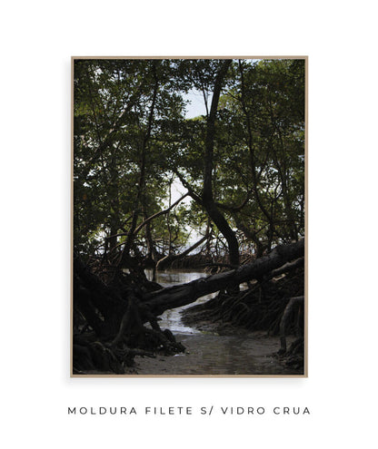 Córrego por Vitoria Brecci