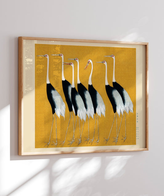 Aves II