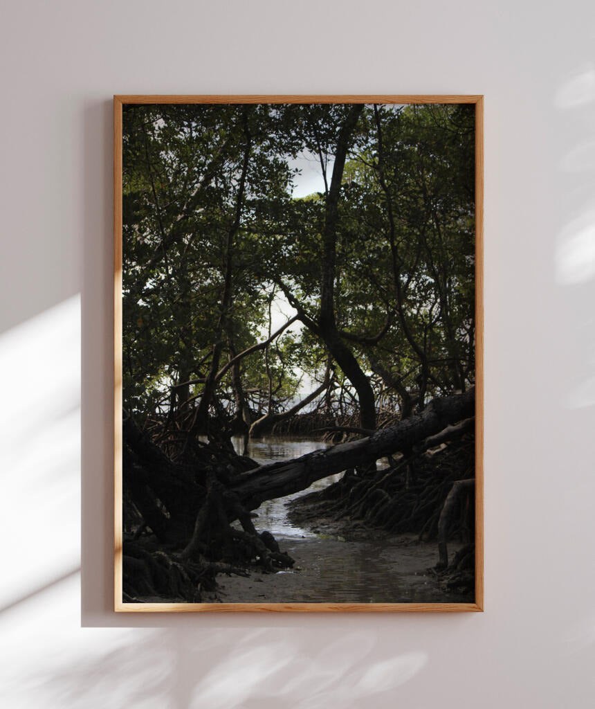 Córrego por Vitoria Brecci