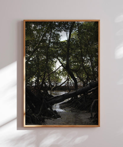 Córrego por Vitoria Brecci