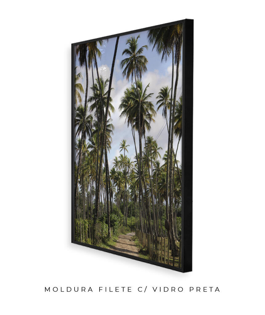 Tropicais por Vitoria Brecci