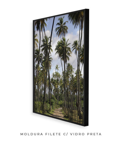 Tropicais por Vitoria Brecci