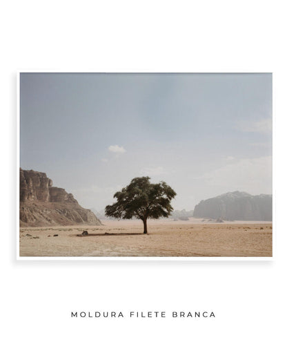 Vida solitária
