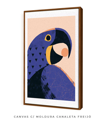 Arara Azul