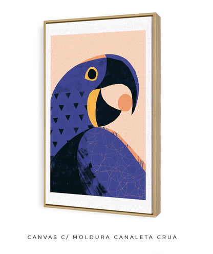 Arara Azul