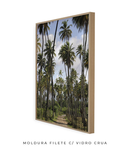 Tropicais por Vitoria Brecci