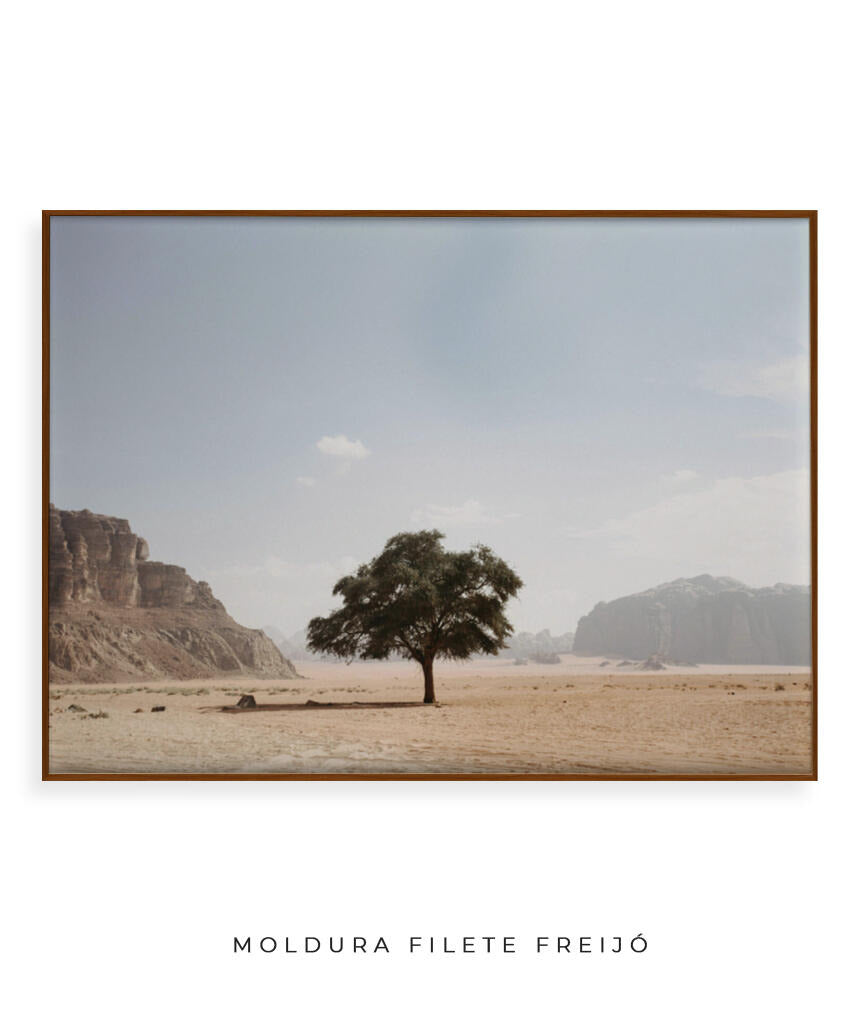 Vida solitária