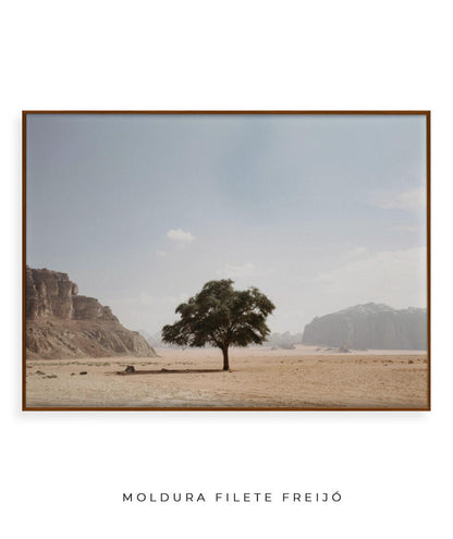 Vida solitária