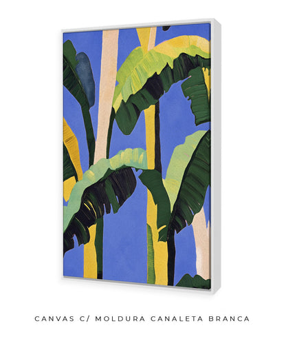 Bananeiras