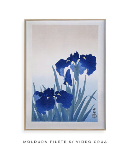 Flores de Íris por Ohara Koson