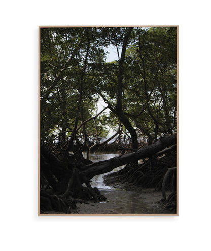 Córrego por Vitoria Brecci