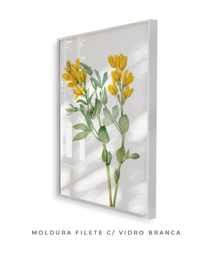 Flores Amarelas
