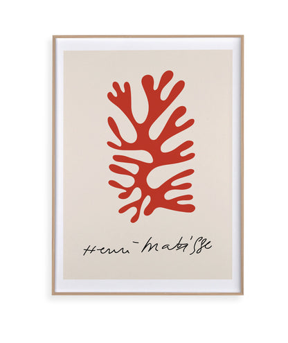 Matisse VIII