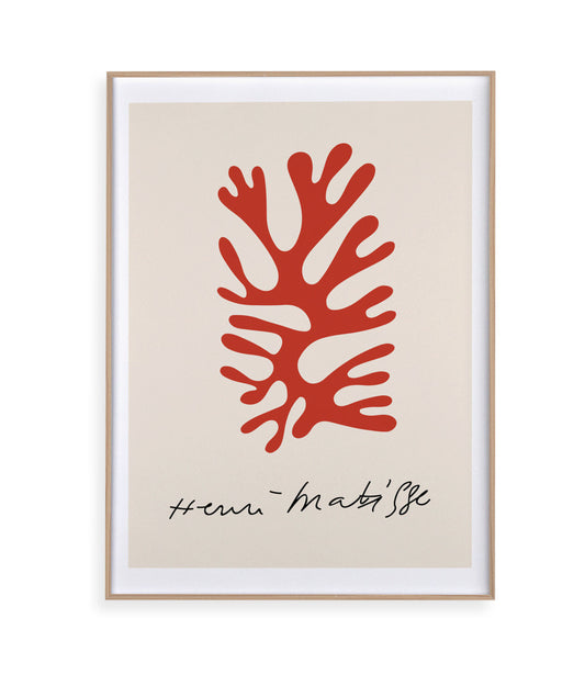 Matisse VIII