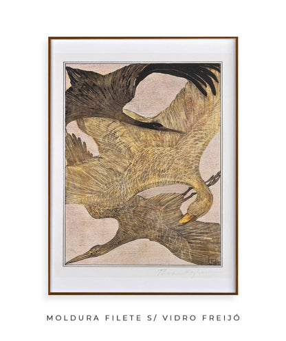 Aves