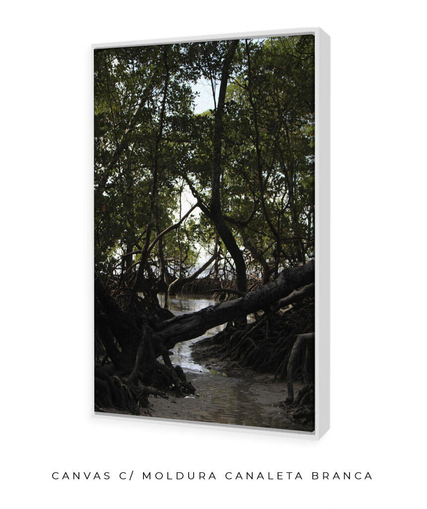 Córrego por Vitoria Brecci