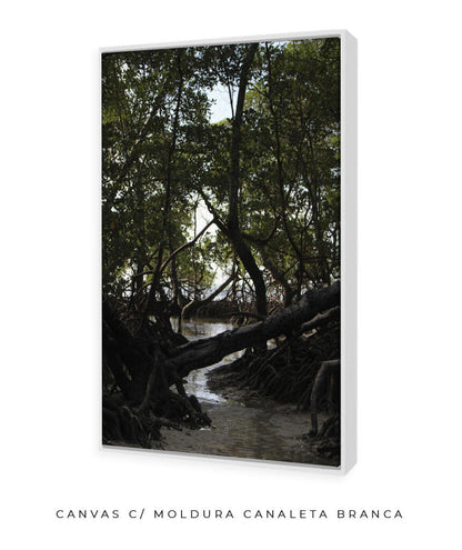 Córrego por Vitoria Brecci