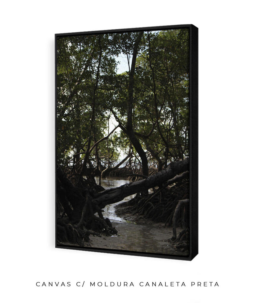 Córrego por Vitoria Brecci