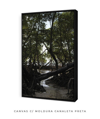 Córrego por Vitoria Brecci