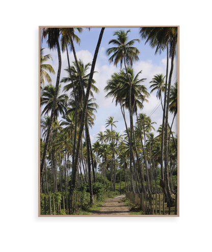 Tropicais por Vitoria Brecci