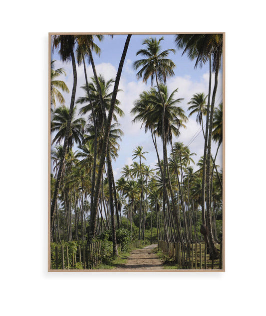 Tropicais por Vitoria Brecci