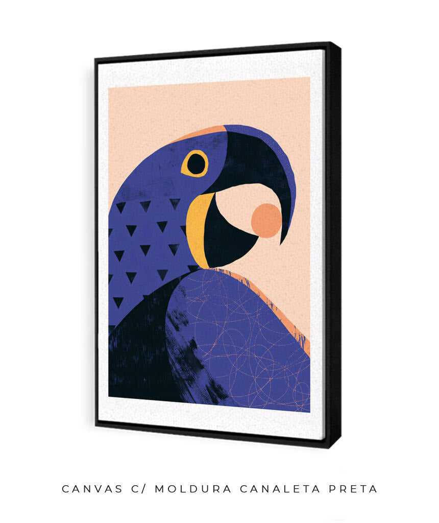 Arara Azul