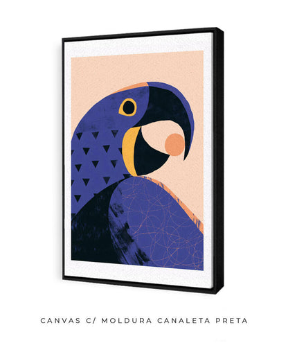 Arara Azul