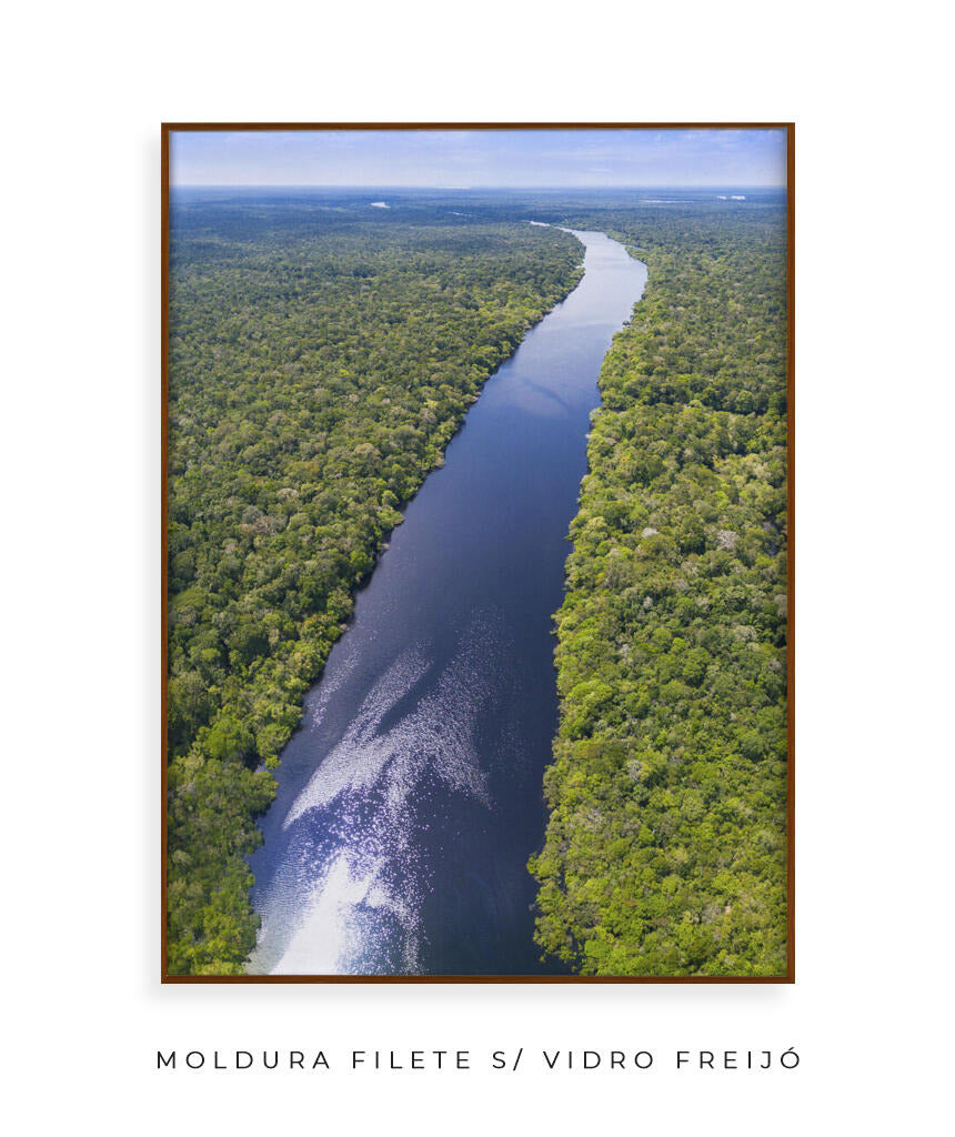 Rio Amazonas