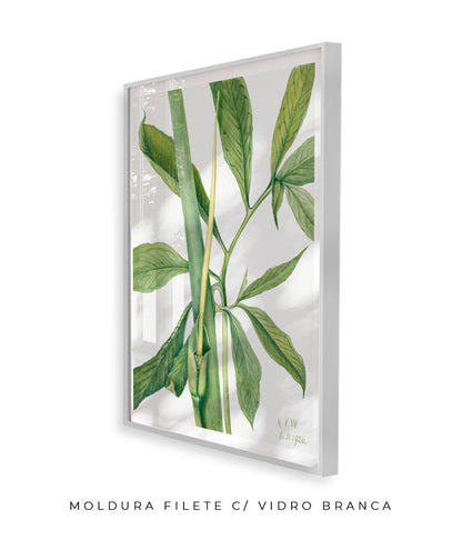 Natureza Viva