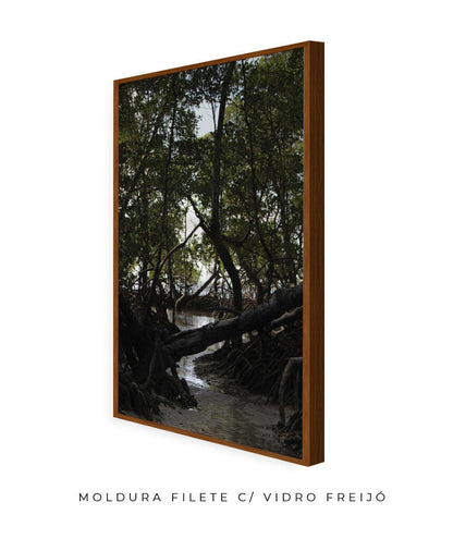 Córrego por Vitoria Brecci