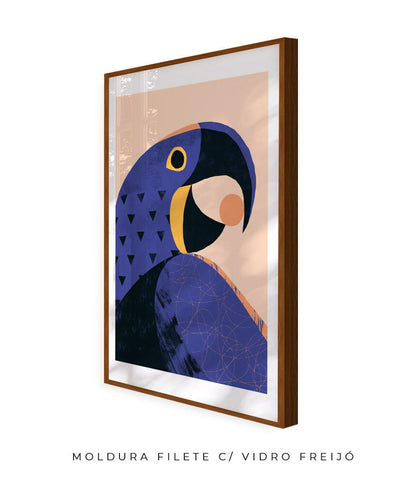 Arara Azul
