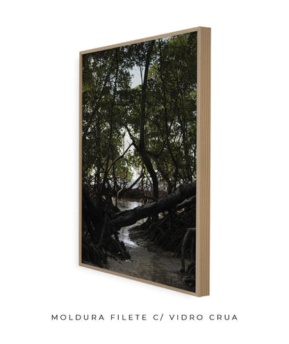 Córrego por Vitoria Brecci