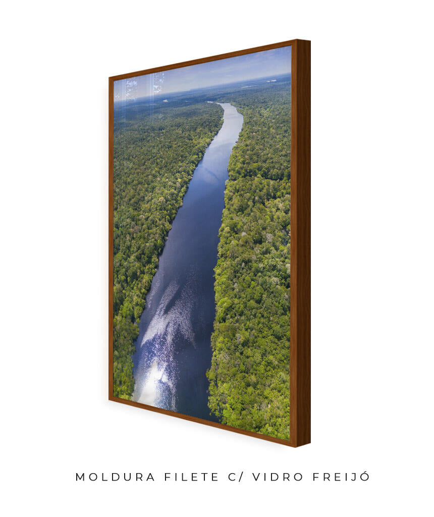 Rio Amazonas