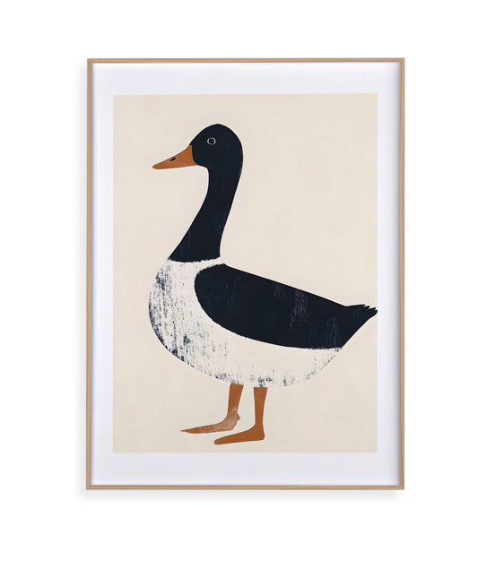 Pato